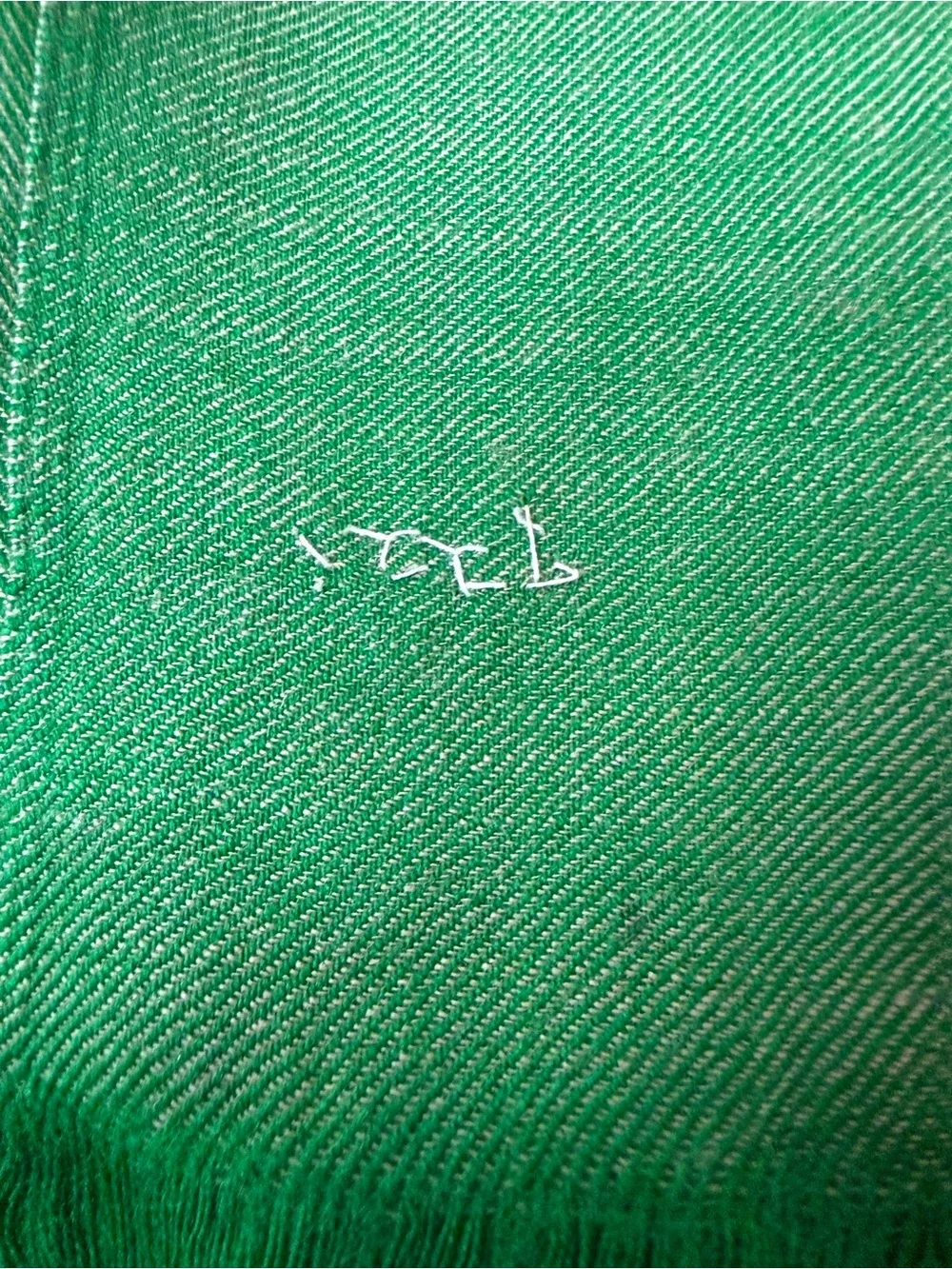 Highly unusual bi-color Shawl, green woven Border Scarf intricate embroidery